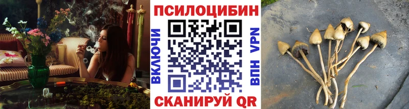 Галлюциногенные грибы GOLDEN TEACHER  даркнет сайт  Пикалёво 
