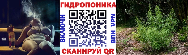 как найти наркотики кракен как войти Марихуана THC 21% Пикалёво